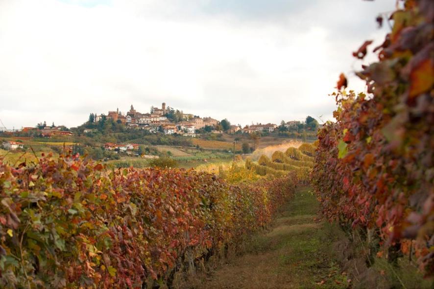 Agriturismo Antichi Poderi Gallina Neive Kültér fotó